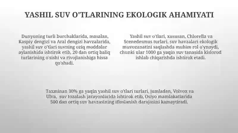 Yashil suv o'tlarining muhim vakillari 4