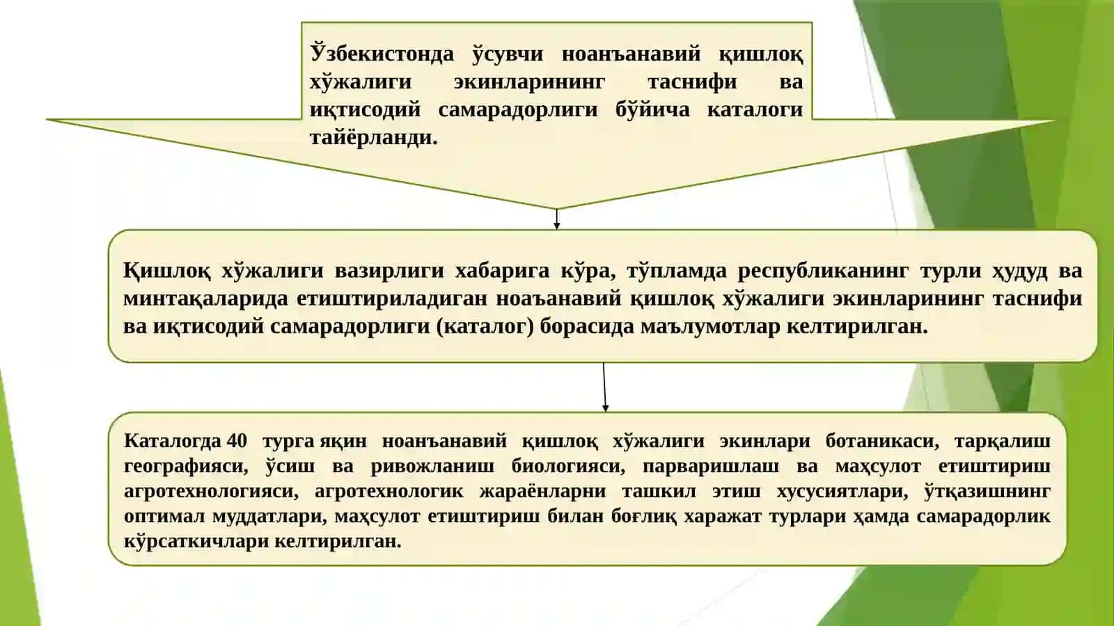 Ноанъанавий экинларни етиштирилиши 4
