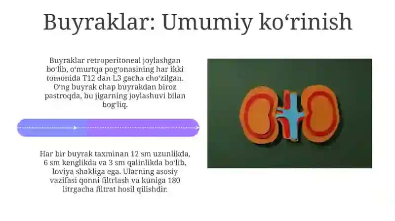 Siydik Ayiruv sistemasi 4