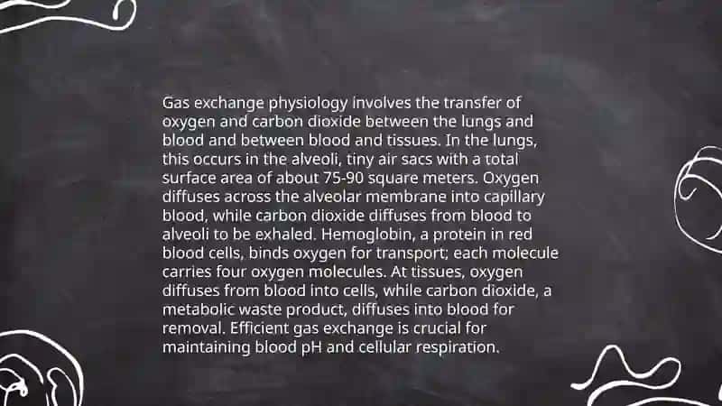 The respiratory system: Lungs 4