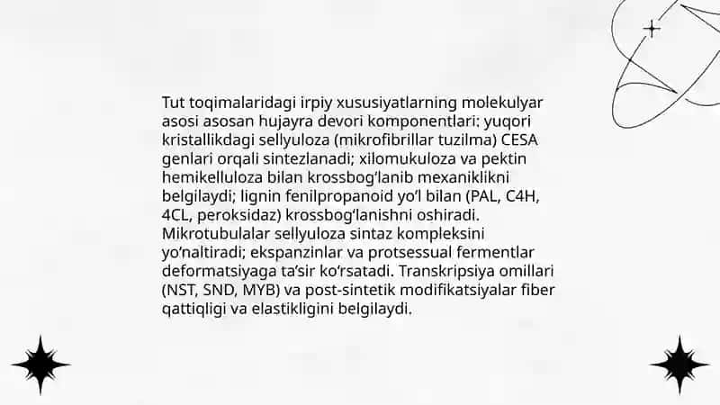 Tut toqimalarida irpiy xususiyatlari 4