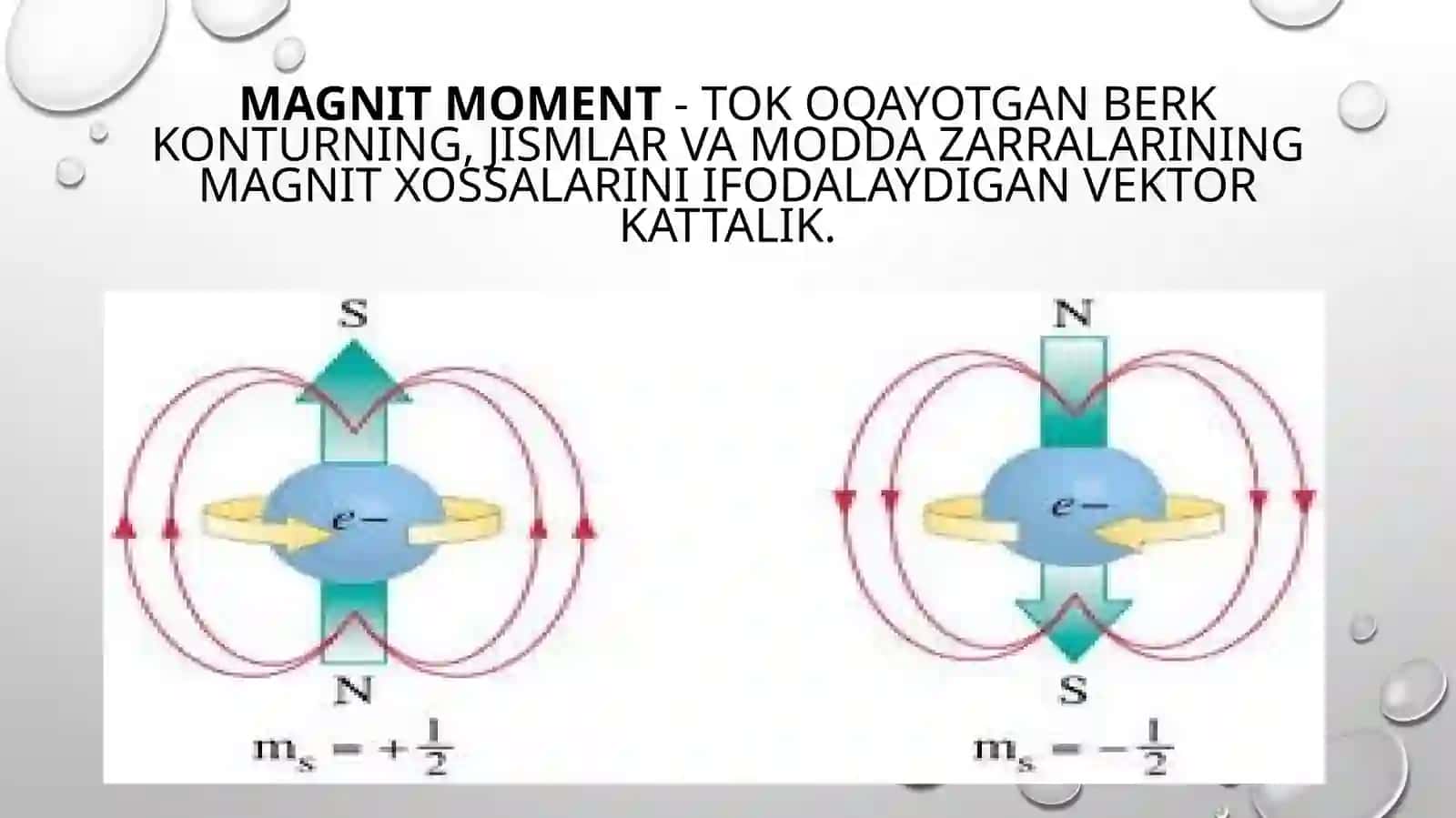 Elektron magnit momenti 4