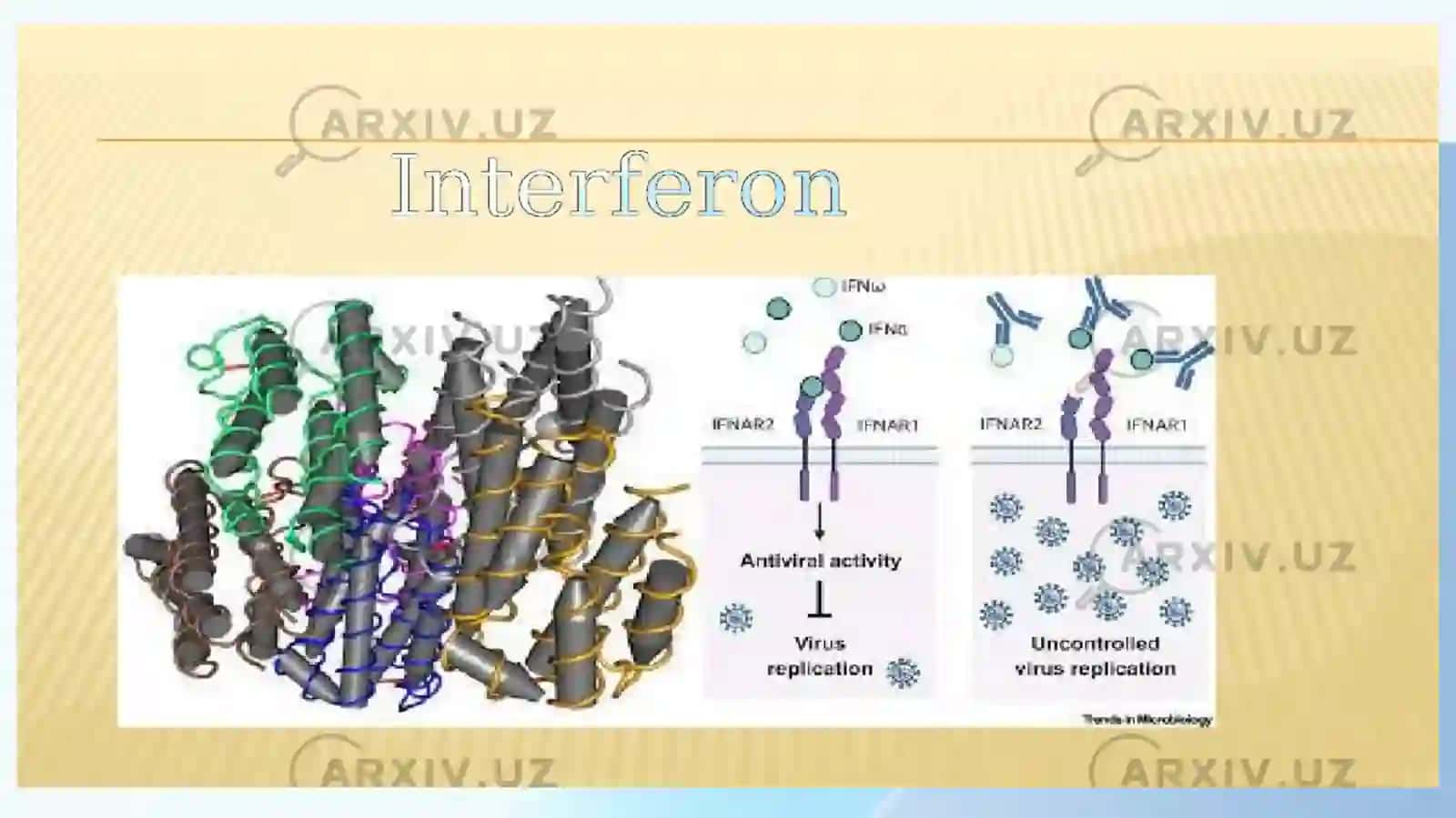 Interferon, Sitokenlar, 4