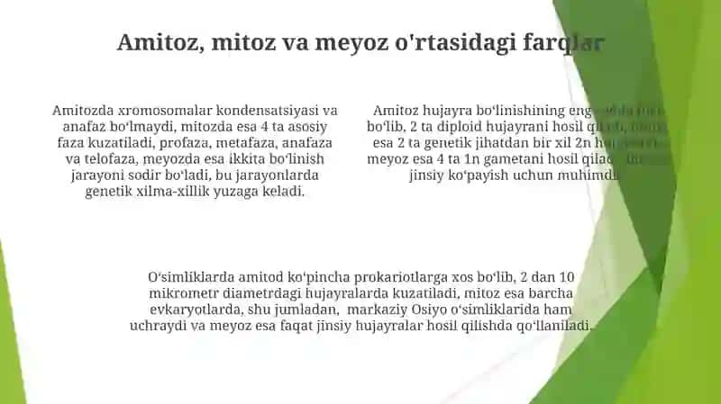 Amitozning ahamiyati 4