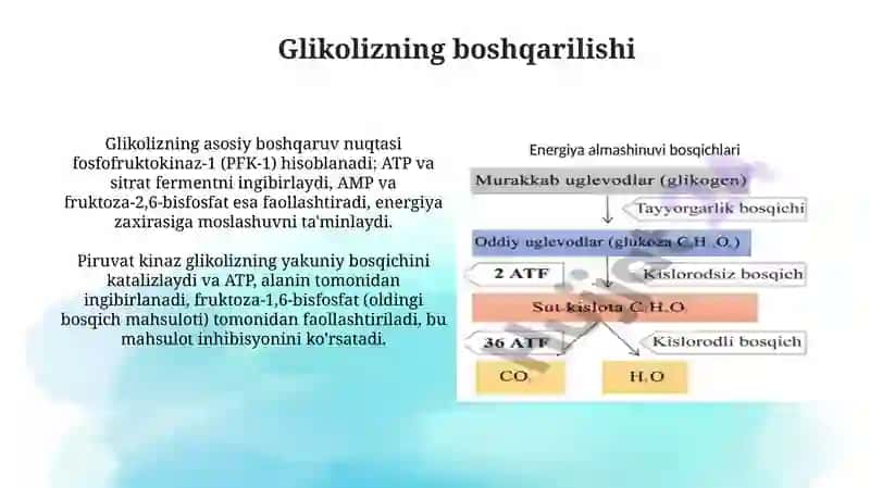 Energiya almashinuvi boshqarilishi(biokimyosi) 4