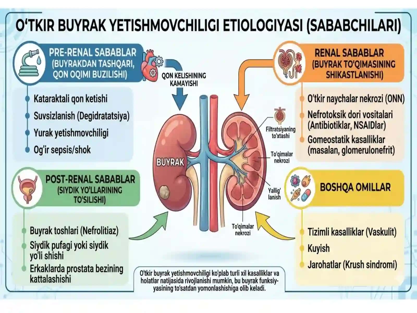 O'tkir buyrak yetishmovchiligi 4