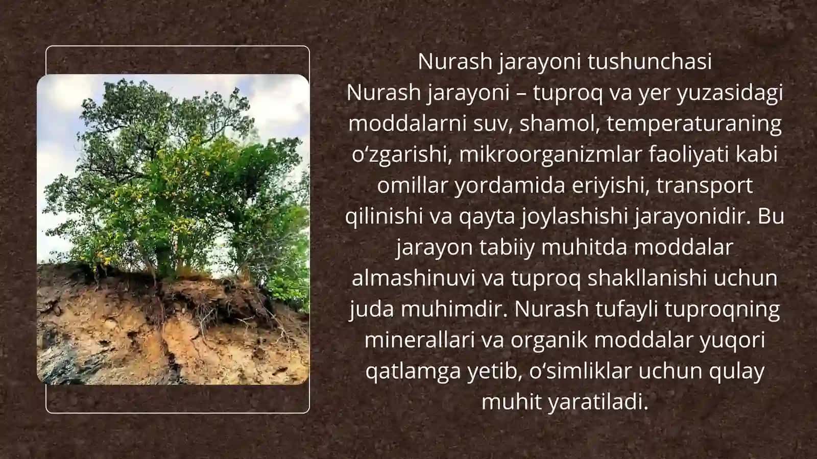 Nurash jarayoni va tuproq 4