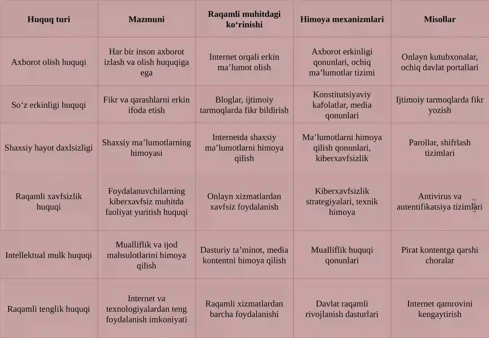 Raqamli asrda inson huquqlari 4