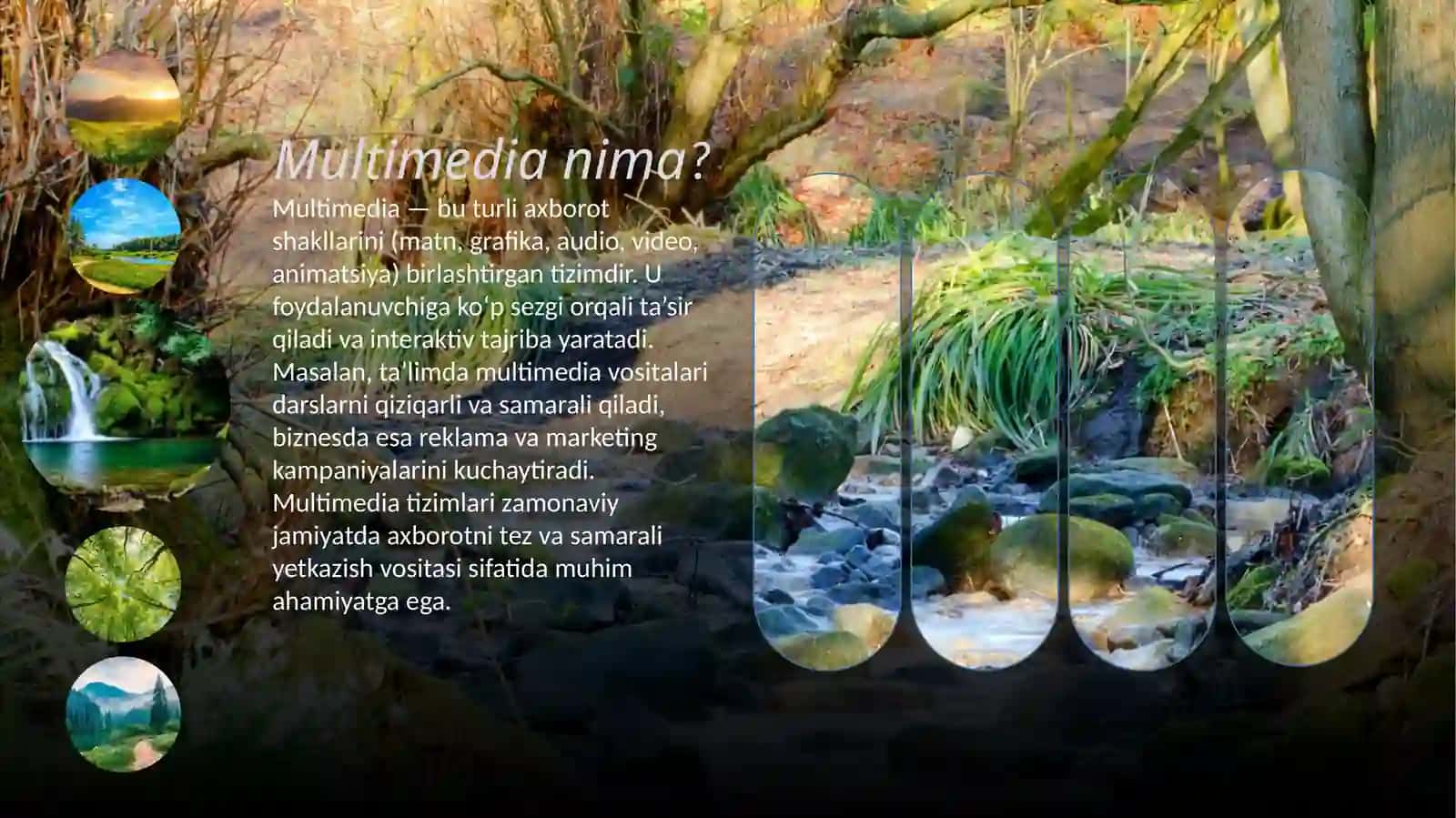 MULTIMEDIA TIZIMINING DASTURIY TA`MINOTI 4