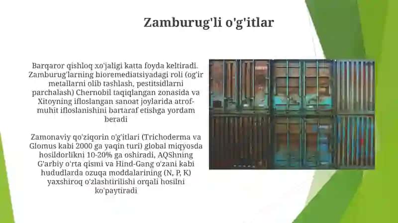 Zamburug'li biopesitsidlar 4