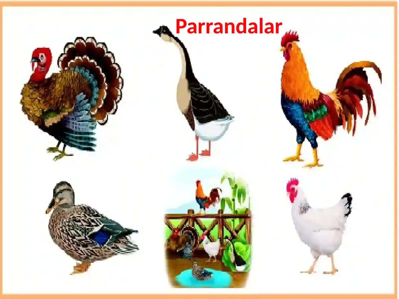 To‘plamlar.Eyler-Venndiagrammasi 4