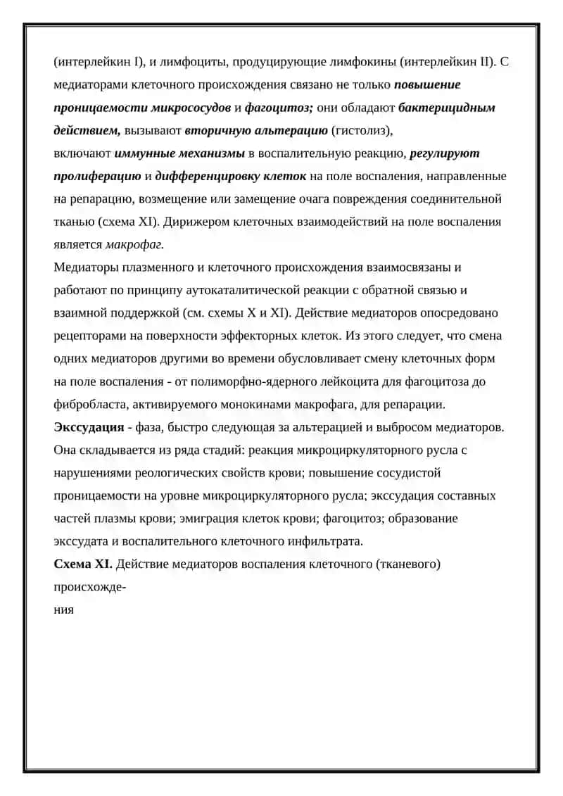 ЭКССУДАЦИЯ ПРОЦЕССА ПРОЛИФЕРАЦИИ 4