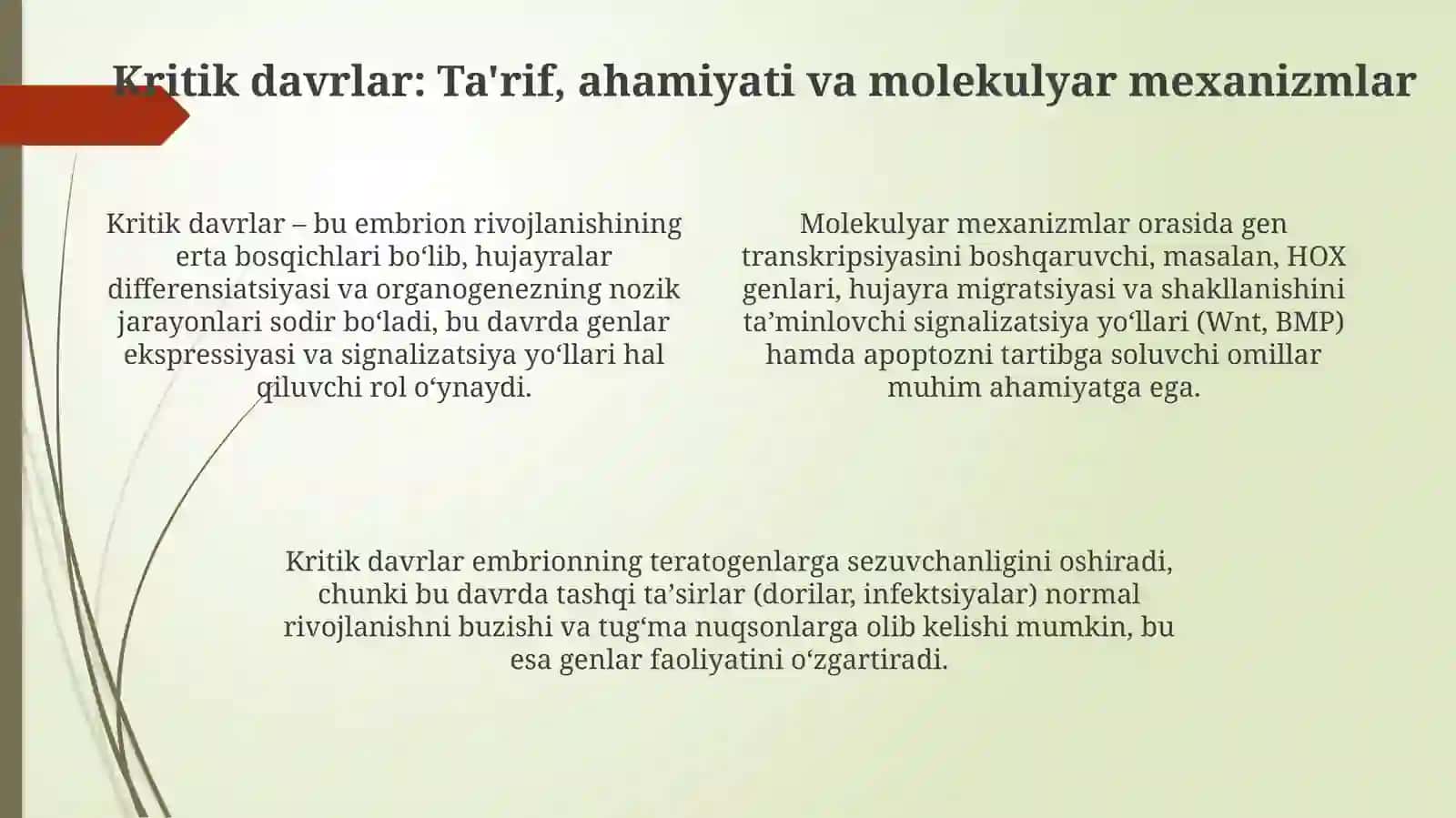 Embriogenezning qaltis davrlari 4