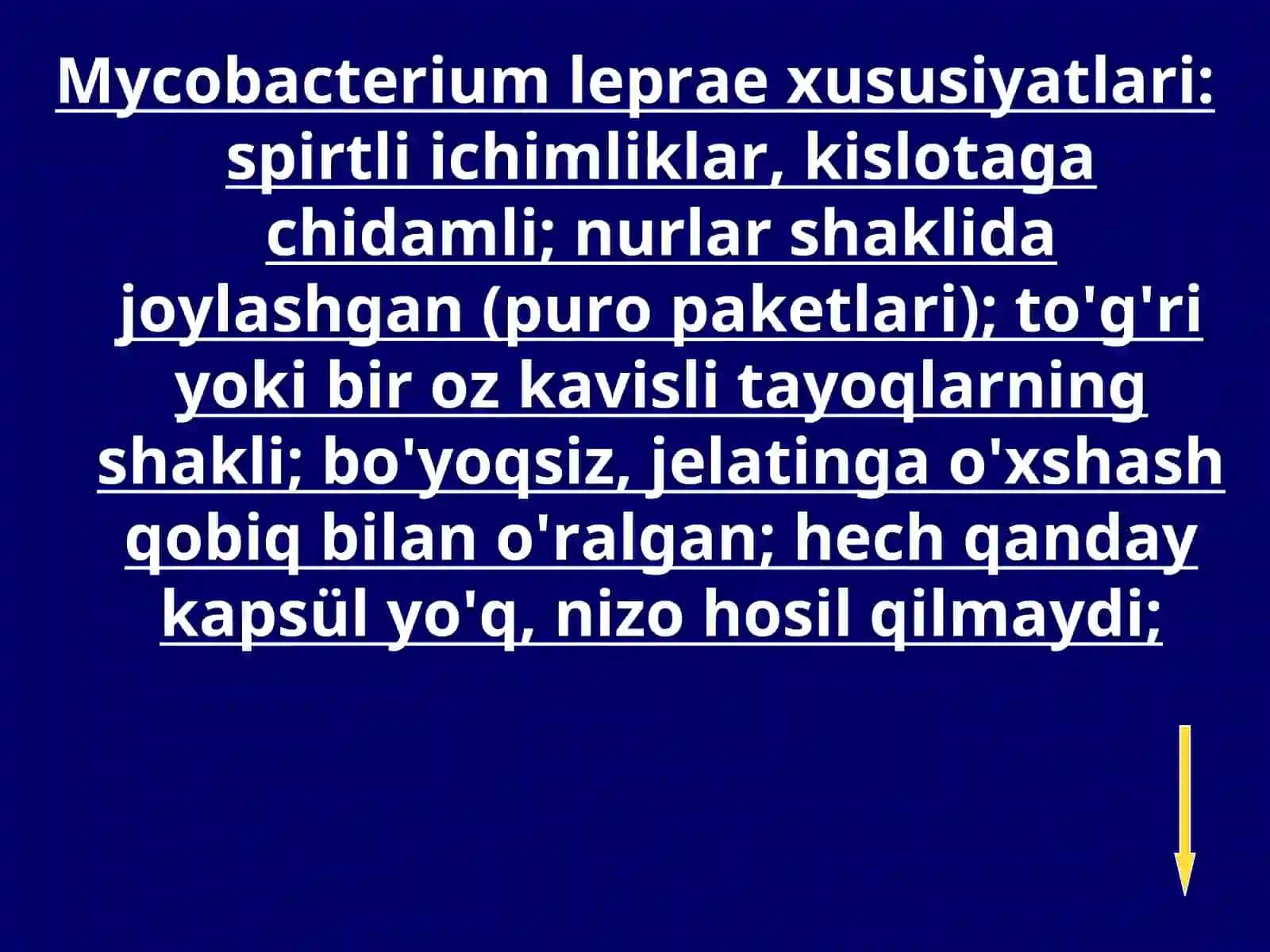 MOXOV 4