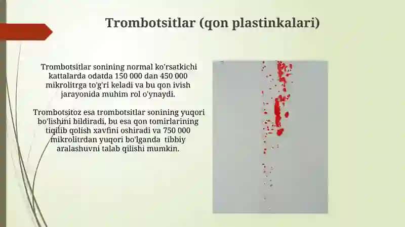 Umumiy qon tahlilining interpritatsiyasi 4