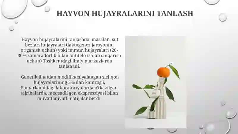 Biotexnologik obyektlarni tanlash 4