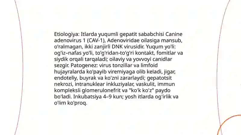 Itlarning o'lat, yuqumli gepatit, parvovirus enterit kasallikgi 4