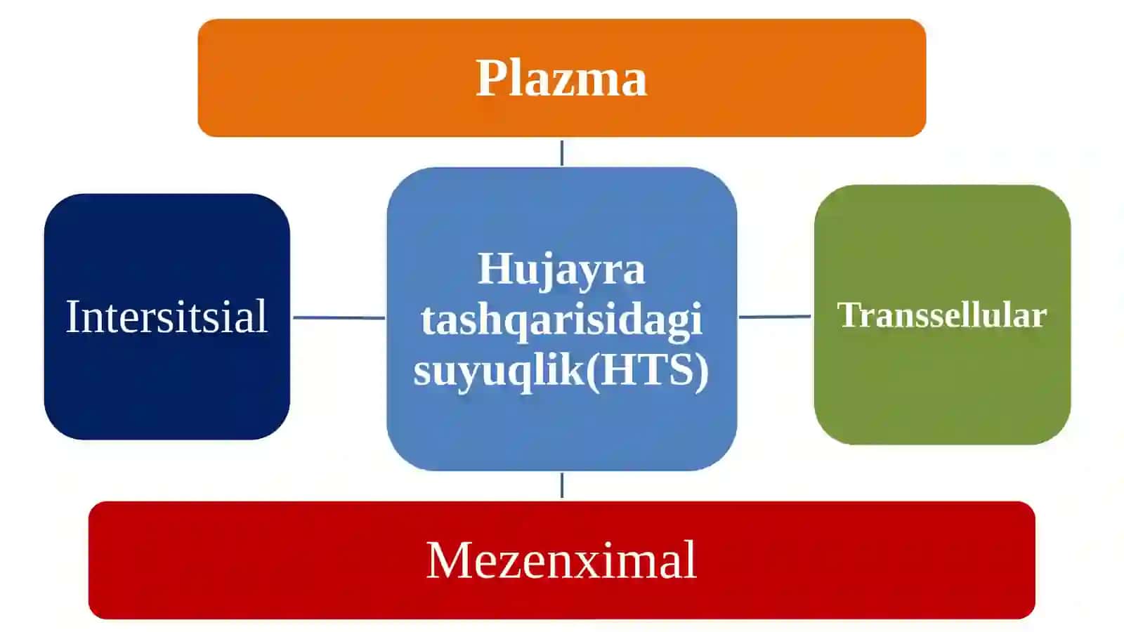Gomeostazha haqida tushuncha 4