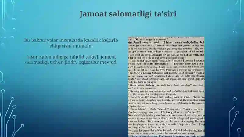 Rikketsiya va Xlamidiya: Umumiy ma'lumot 4