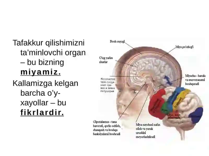 Tafakkur haqida umiumiy tushuncha 4