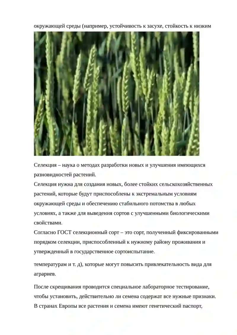 Селекция растений 4