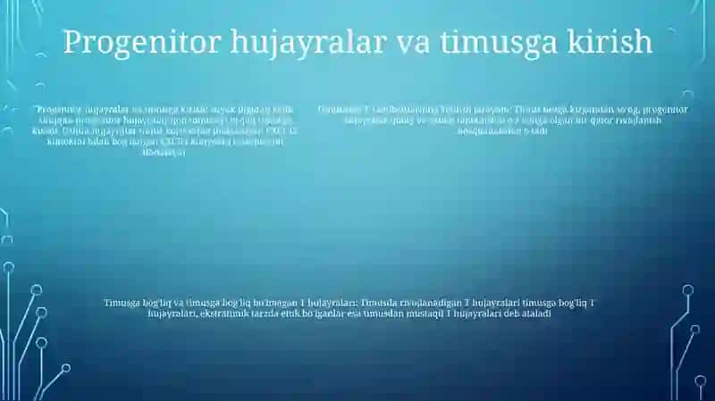 Timusdagi T-Limfositlarning Yetilish Jarayoni 4