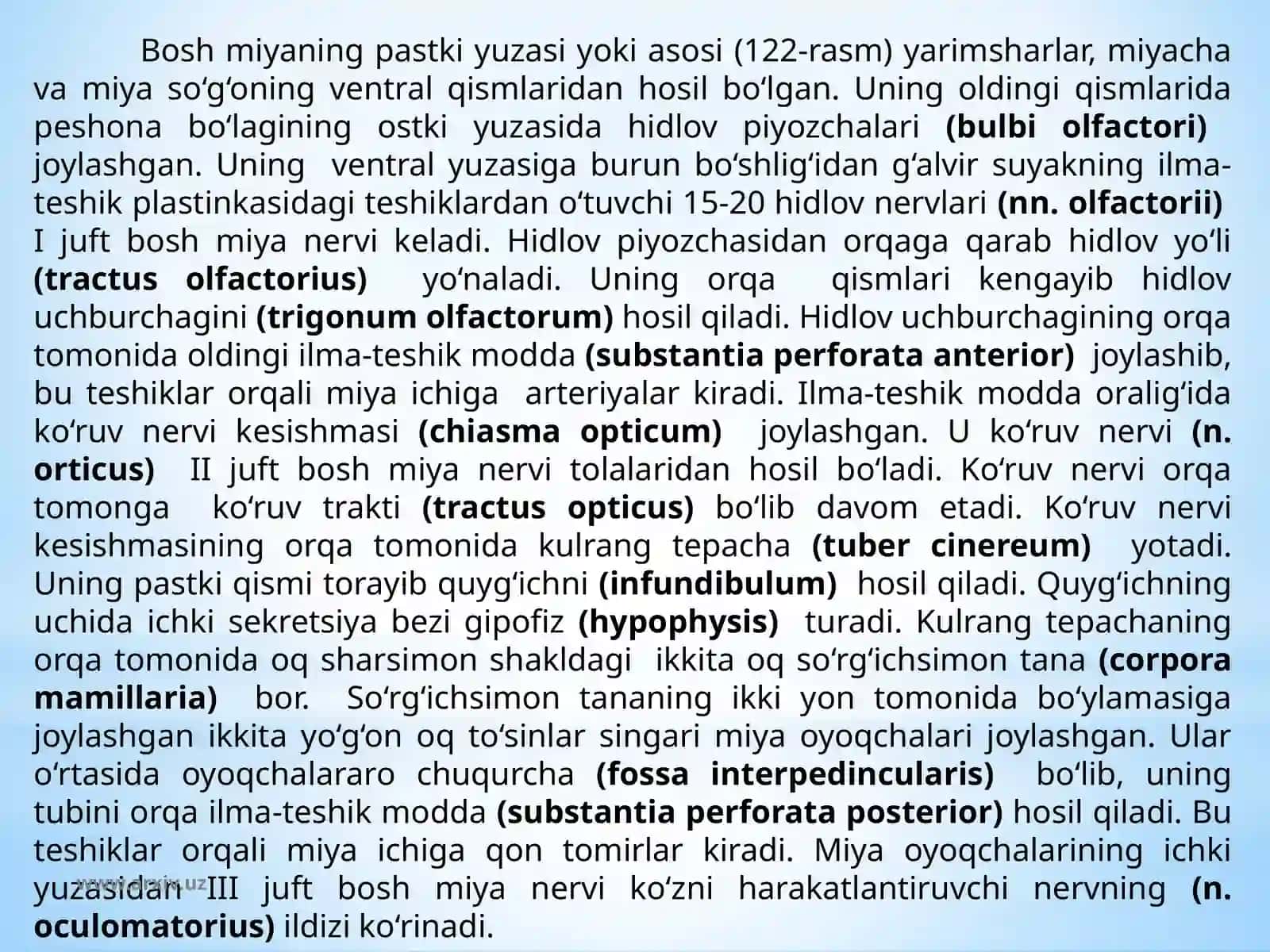 Boshvaorqamiyatuzulishi 4
