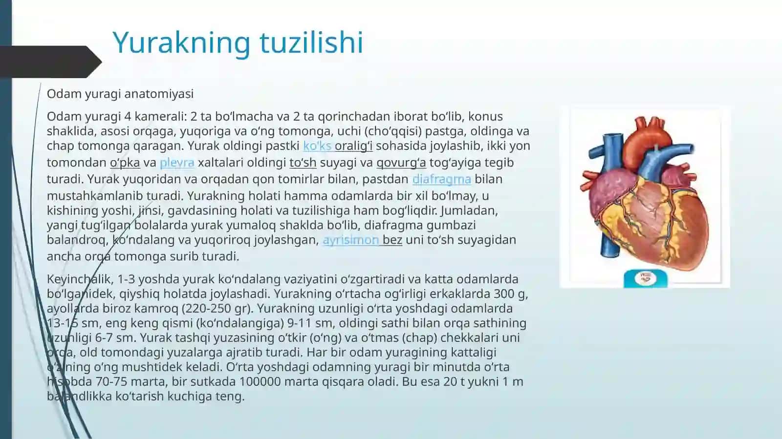 YURAKNING TUZILISHI 4