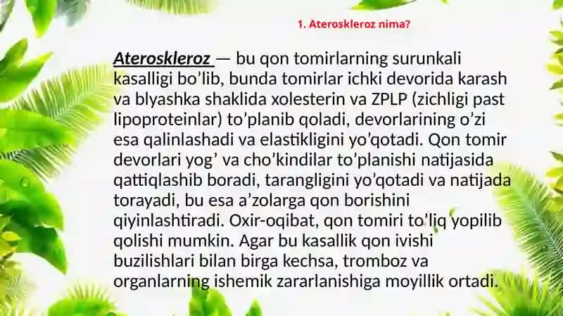 Ateroskleroz 4
