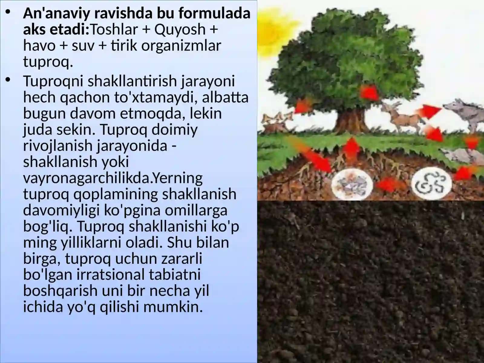 Texnogen tuproqlar evalyutsiyasi 4
