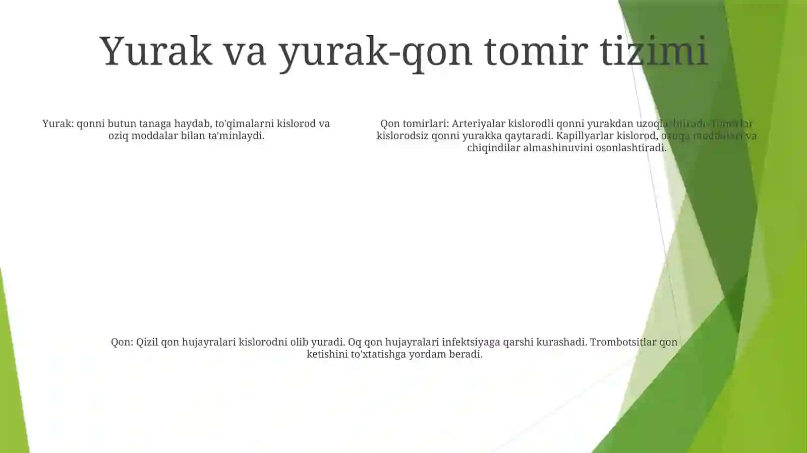 Qon Tomirlari Sistemasi 4