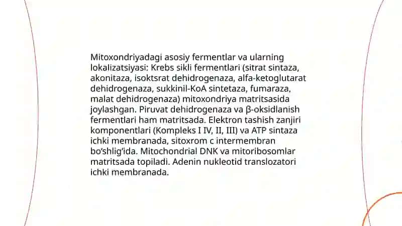Fermantlarning hujayrada joylashuvi. Nukleotedlar 4