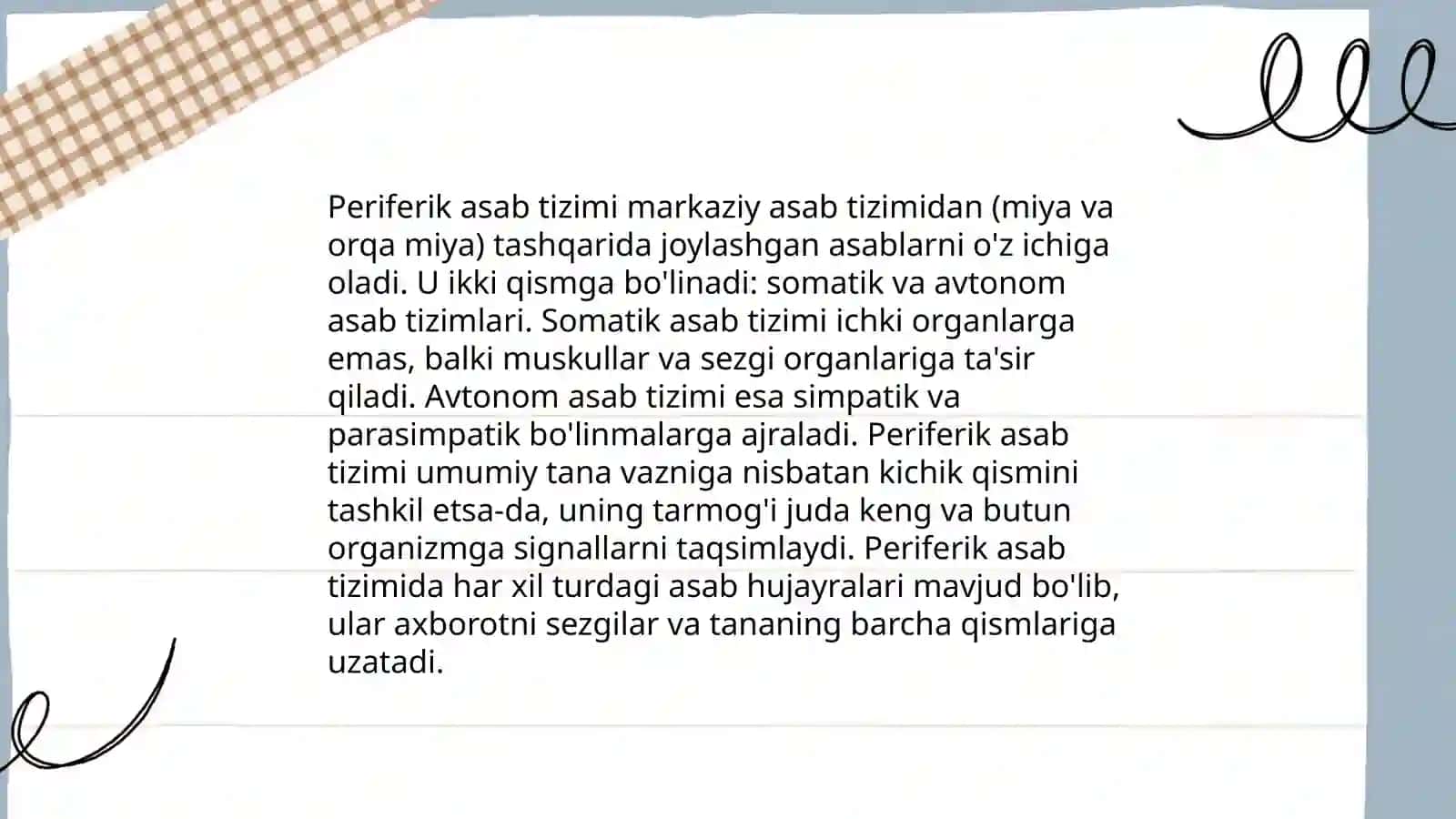 Markaziy asab tizimi 4