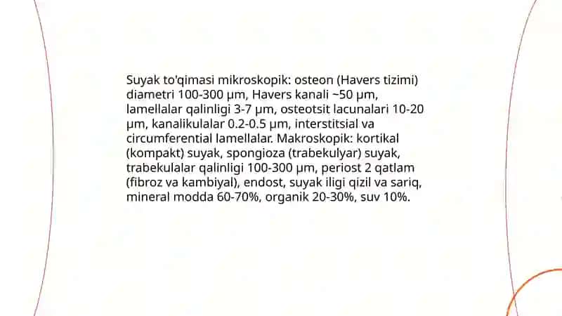 Umumiy osteologiya 4