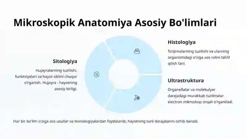Mikroskopik Anatomiya Asoslari 4