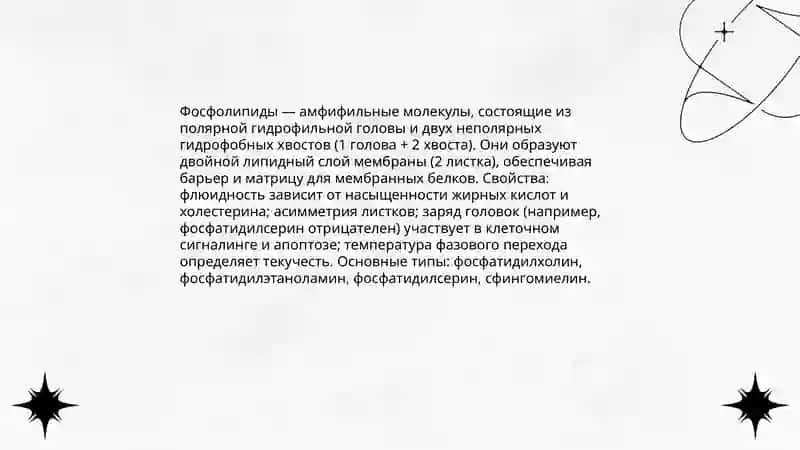 Клеточная мембрана 4