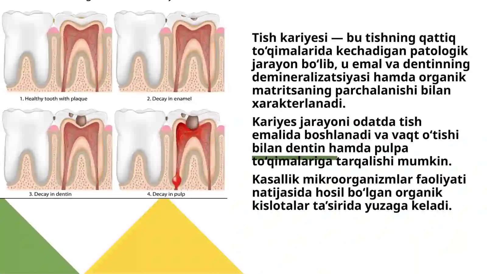 Kariyes va ovqatlanish tamoyillari 4