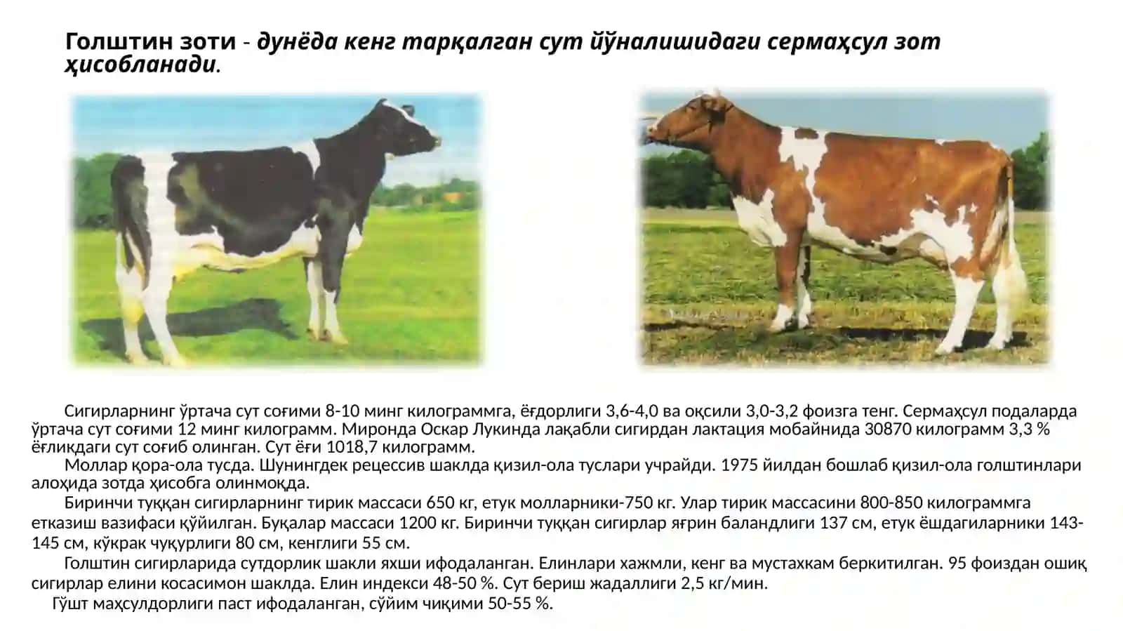Қорамолзотларинитавсифи 4