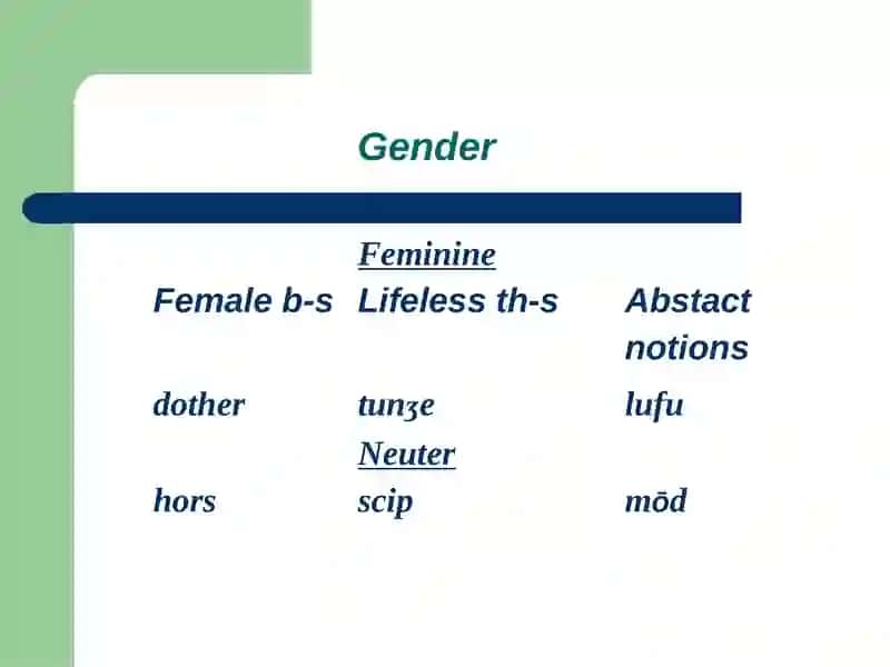 OLD ENGLISH NOUNS 4