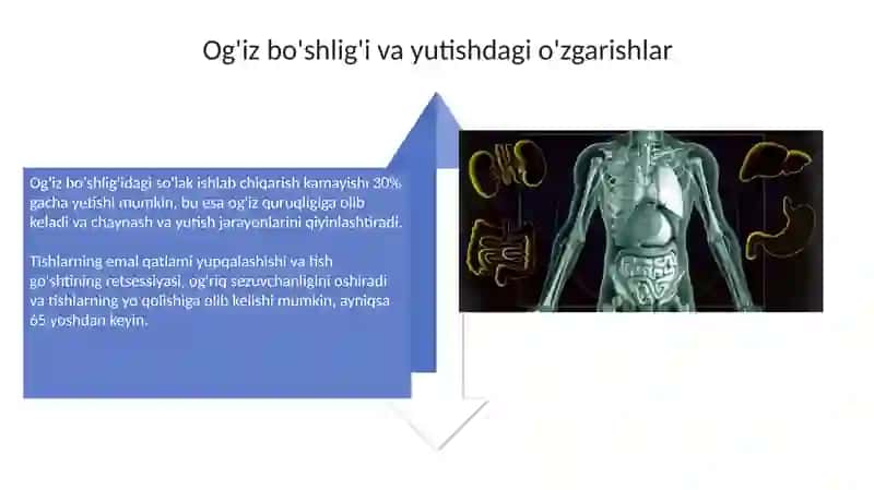 Qarishning ovqat hazm qilish tizimi 4