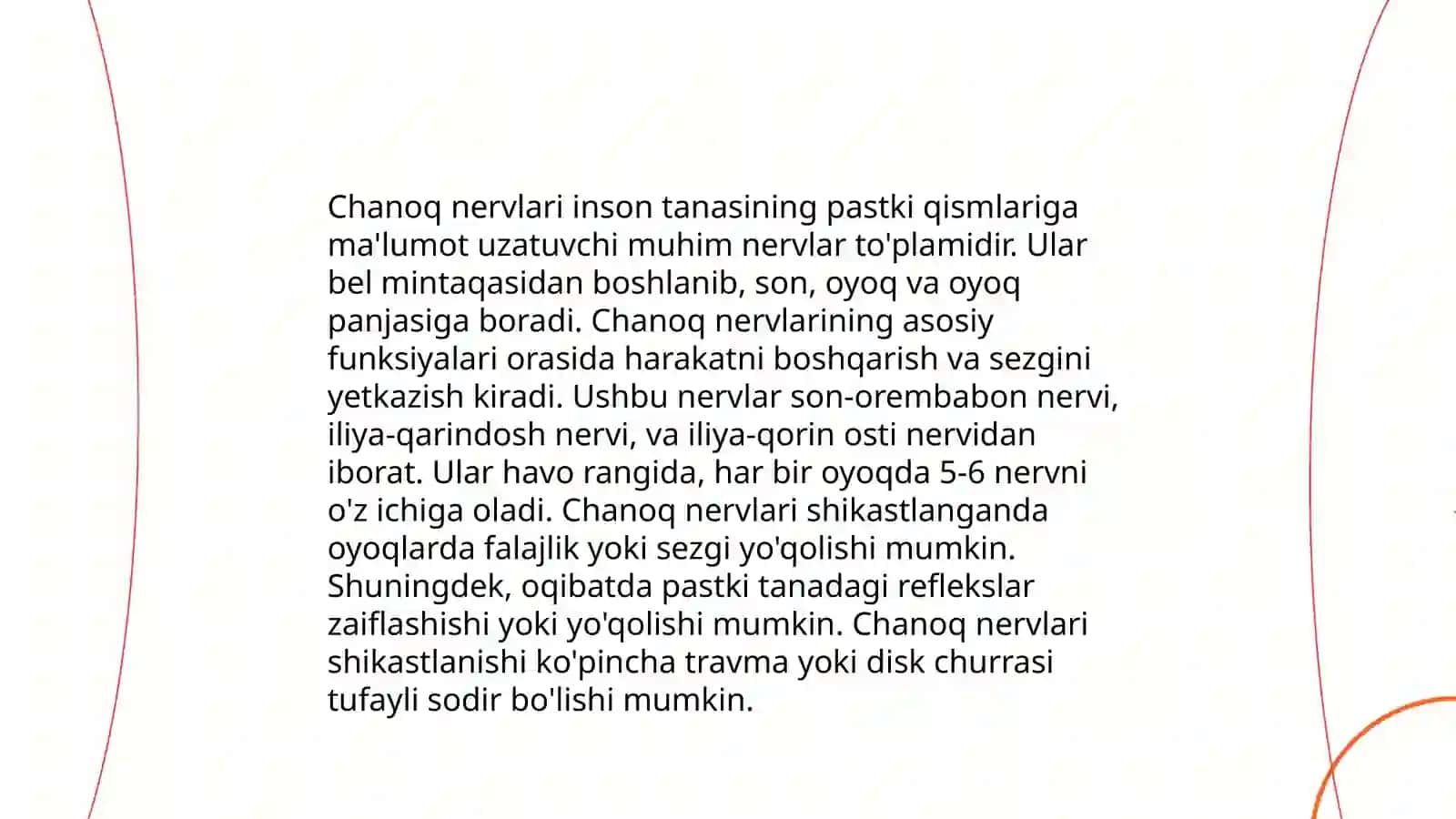Chanoq nervi 4
