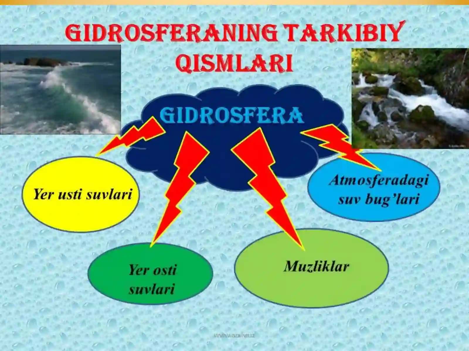 Gigrosfera ekologiyasi 4