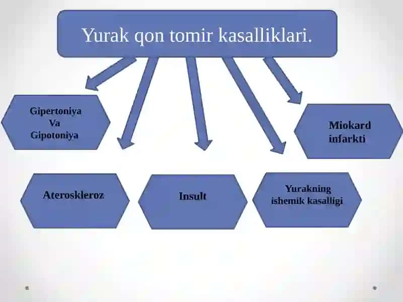 Qon aylanish organlari ishining boshqarilishi 4
