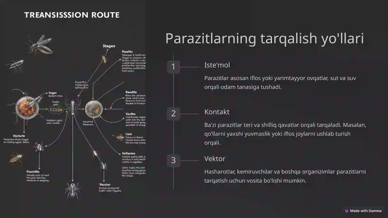 Parazitalogiya 4