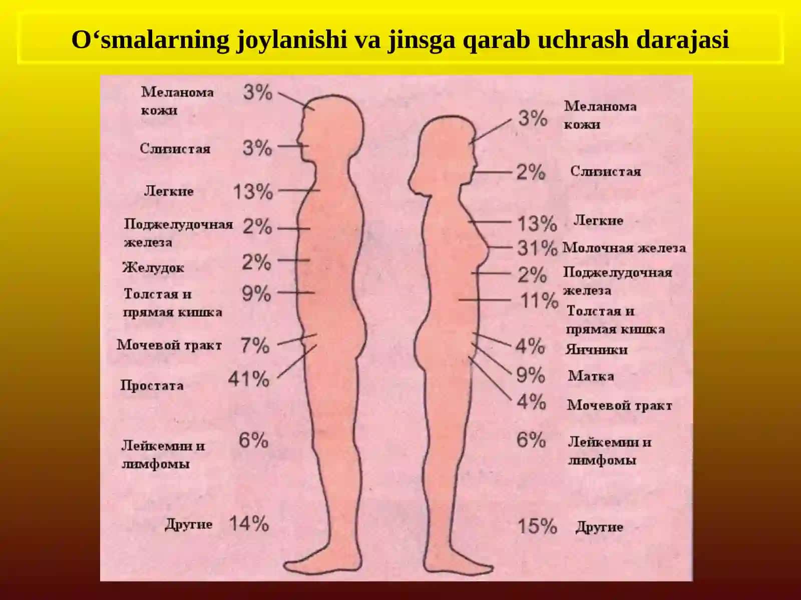 O’SMALAR XAQIDA UMUMIY TUSHUNCHA 4