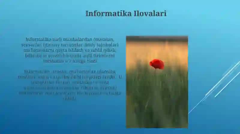 Informatika nima mavzusida 4