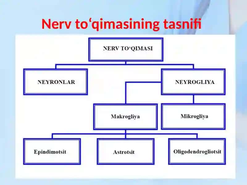 NERV TO’QIMASI 4
