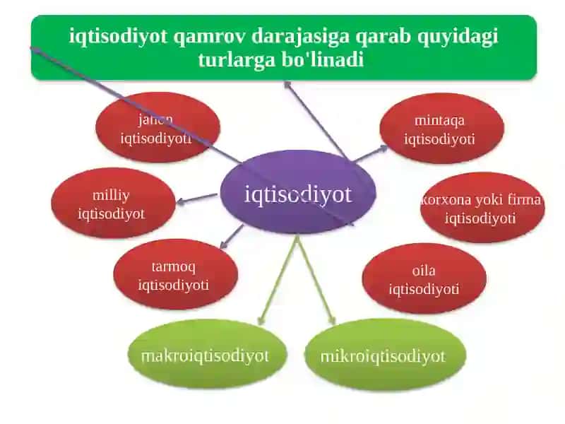 Shoymurodov Tohirning Iqtisodiyot nazariyasi fanidantayyorlagan ishi 4
