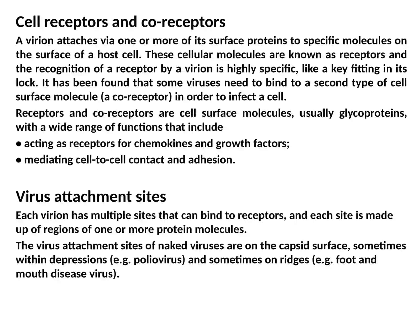 Attachment and entry of viruses into cells 4