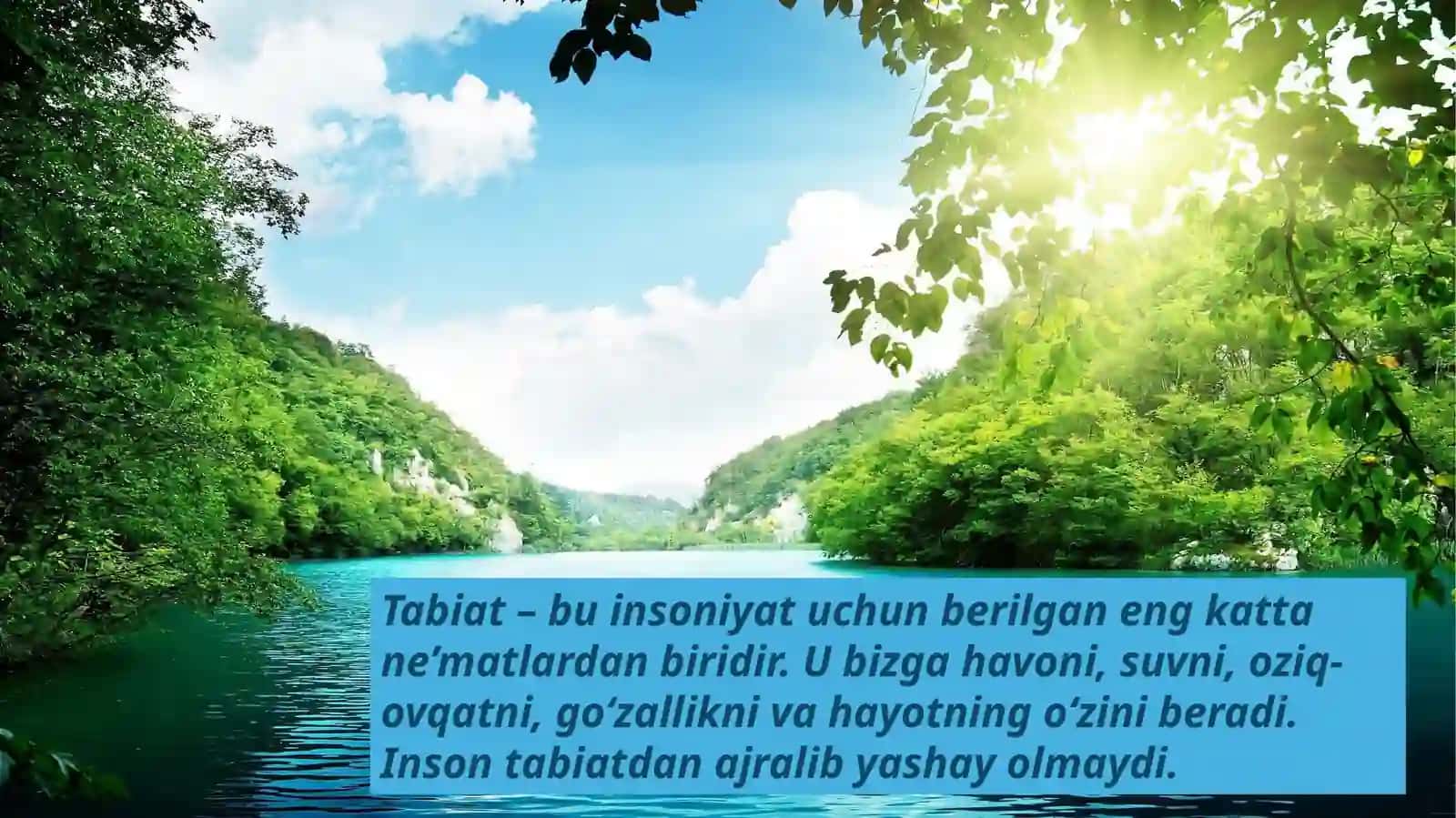 Tabiiat inson hayotining asosi 4